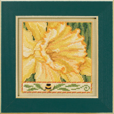 Daffodil by Mill Hill