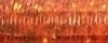 027L Orangeruptis Kreinik #8