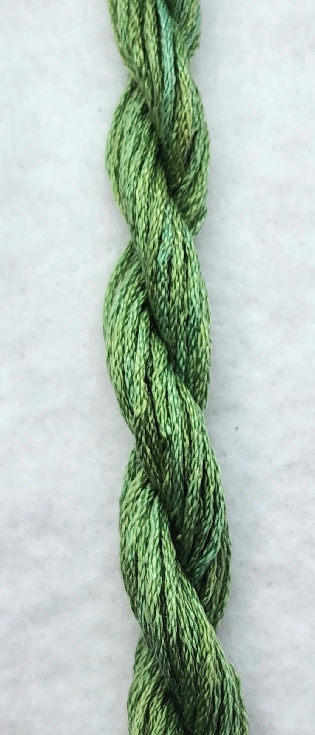 Succulent Hand Dyed Silk