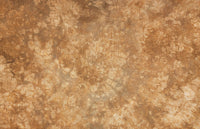 Ready to Ship Fabric- Bronze Age - BeStitchMe
