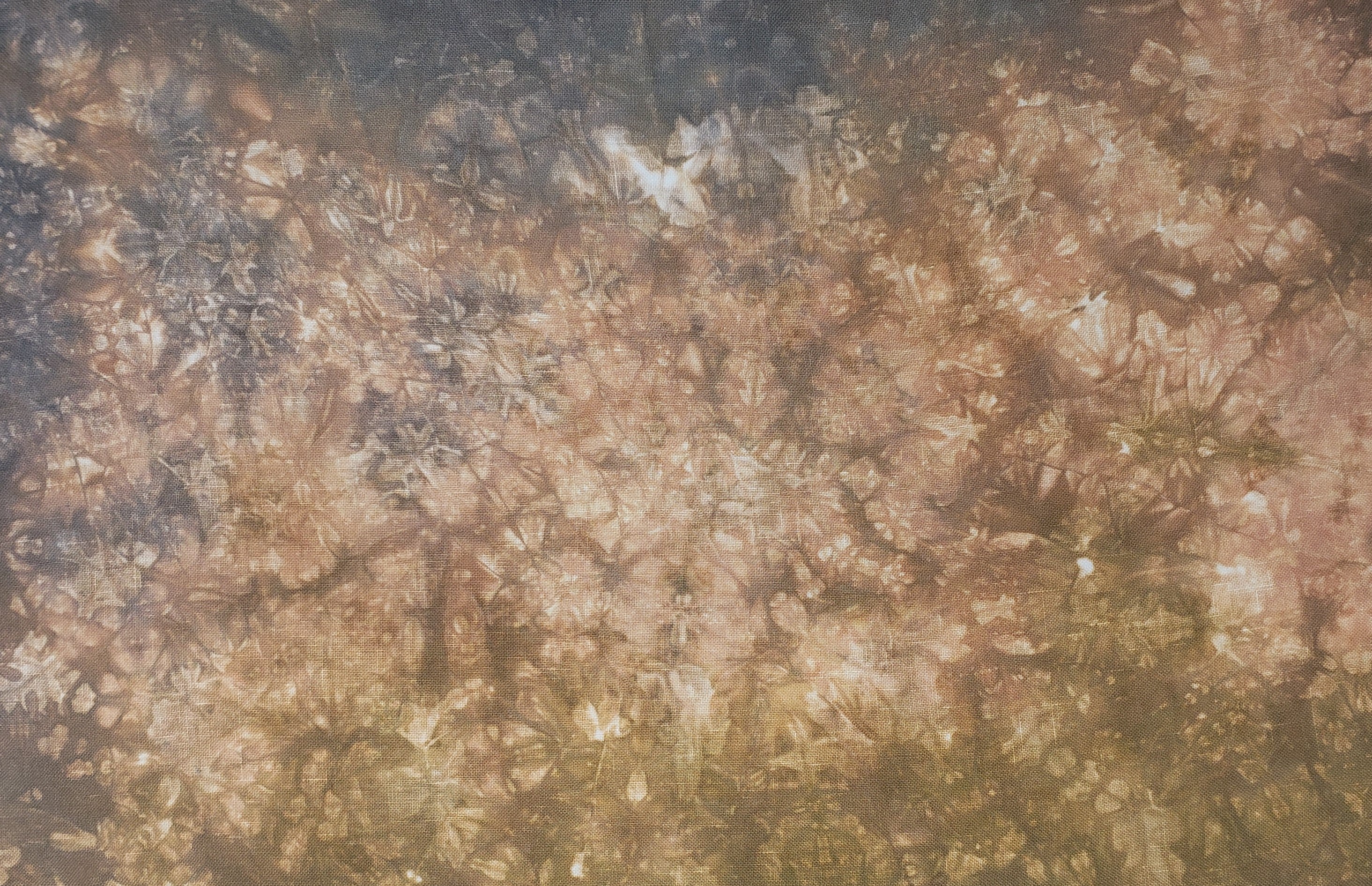 Ready to Ship Fabric- Acorns