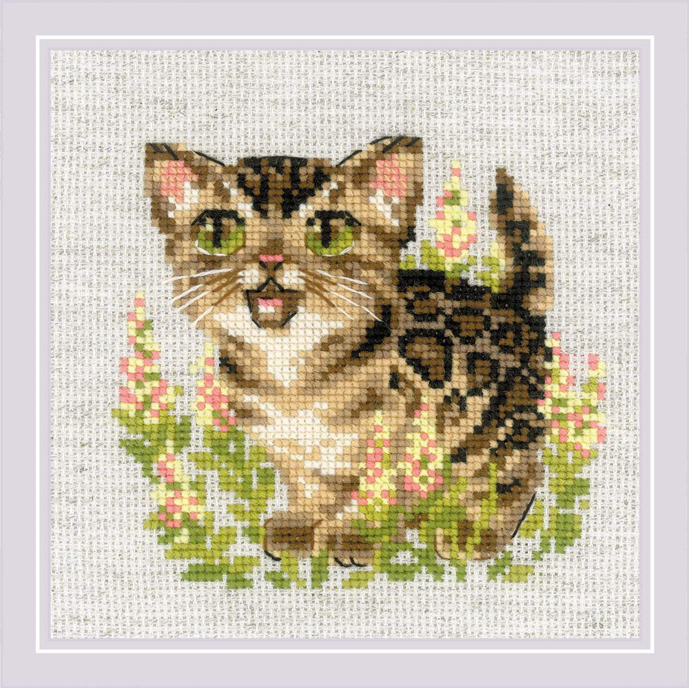 Bengal Kitten by Riolis