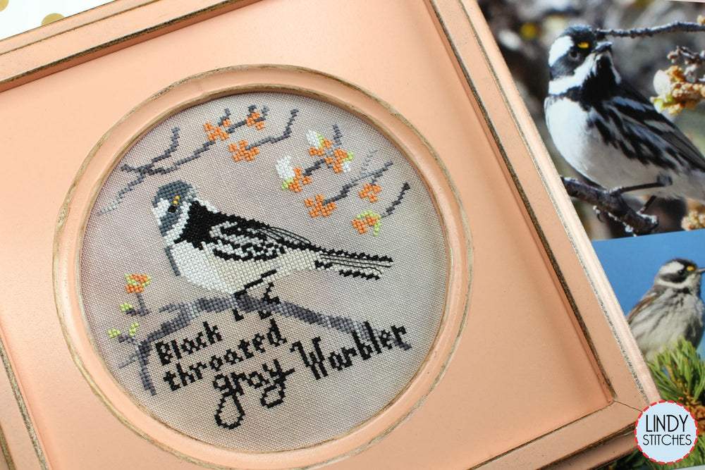 Black-Throated Gray Warbler by Lindy Stitches