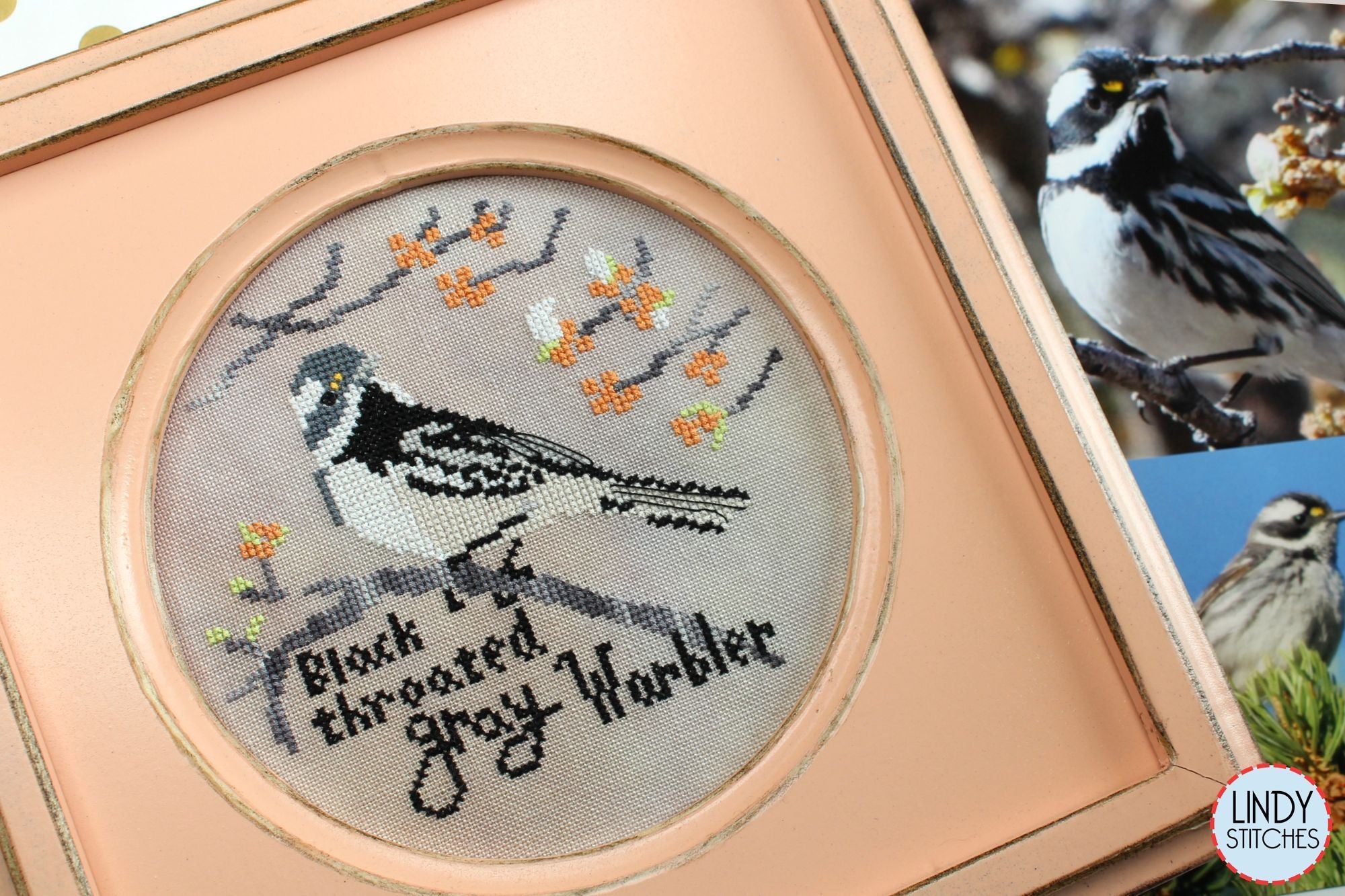 Black-Throated Gray Warbler by Lindy Stitches