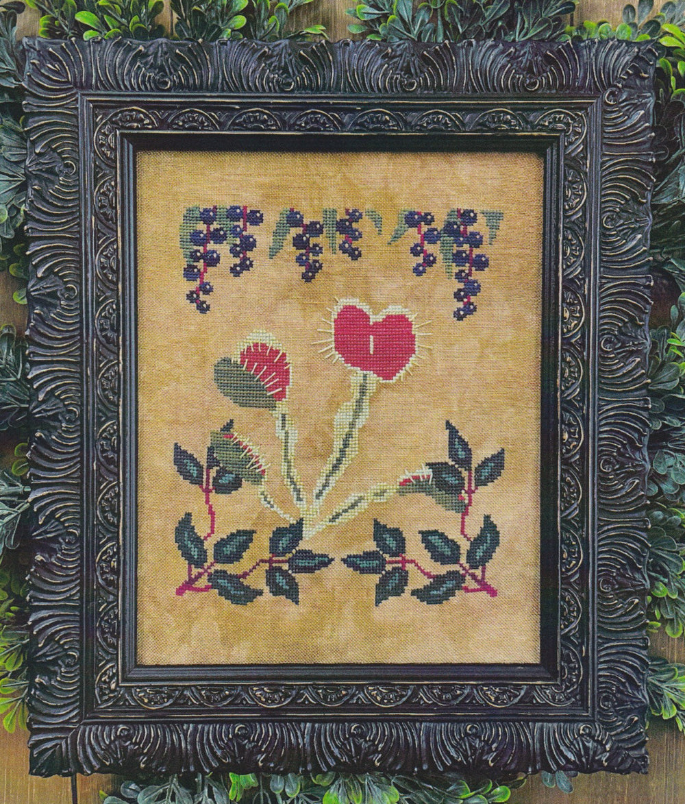 Botanical Study No. 2 Venus Fly Trap by Petal Pusher