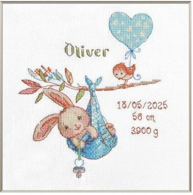 Boy Birth Sampler by Aine