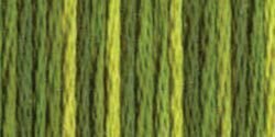 DMC 4066  Color Variations Floss Amazon Moss