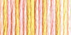 DMC 4095 Color Variations Floss Cupcake
