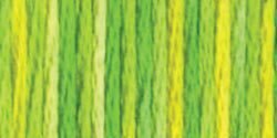 DMC 4069 Color Variations Floss Margarita