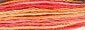 DMC 4120 Color Variations Floss Tropical Sunset