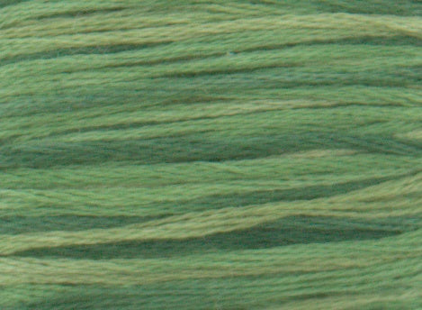 DMC 4045 Color Variations Floss Evergreen Forest