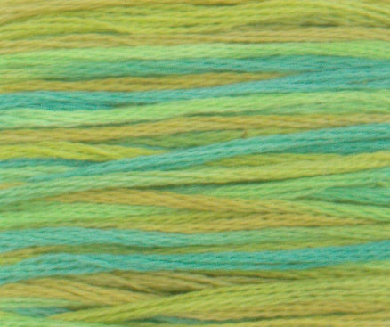 DMC 4050 Color Variations Floss Roaming Pastures
