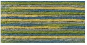 DMC 4506 Coloris Floss Spring