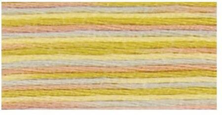DMC 4508 Coloris Floss Frosted Countryside