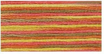 DMC 4510 Coloris Floss Maple
