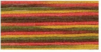 DMC 4511 Coloris Floss Indian Summer