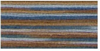 DMC 4515 Coloris Floss Paris