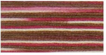 DMC 4516 Coloris Floss Black Forest