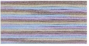 DMC 4523 Coloris Floss North Wind