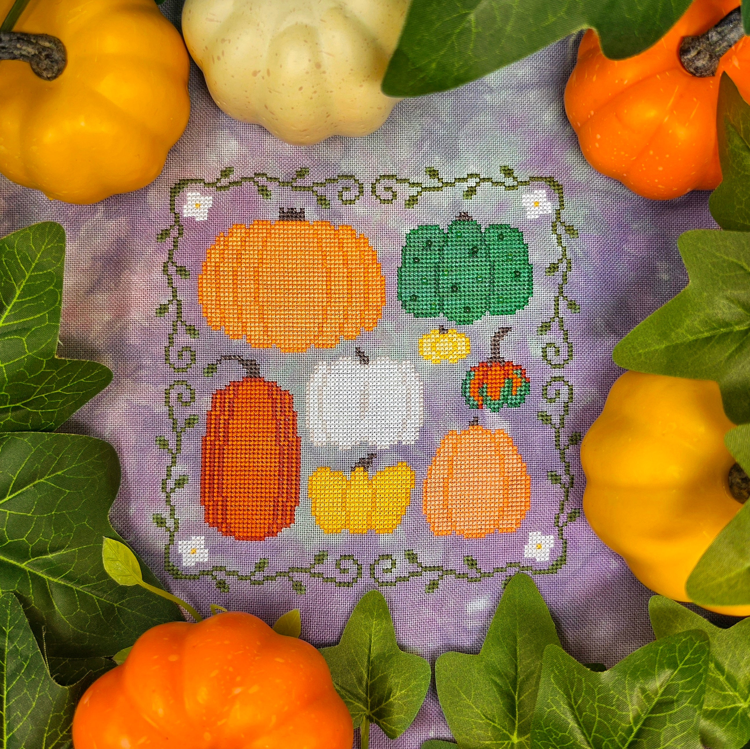 Family Pumpkins by Yahnina Designs - Preorder