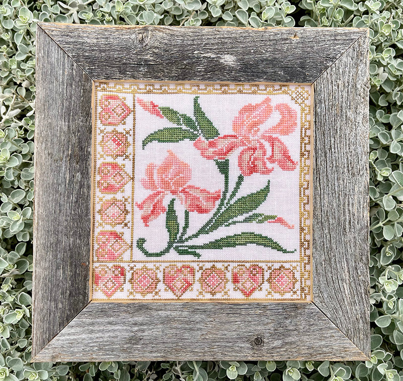 Florigraphica 2- Iris by Jan Hicks Creates