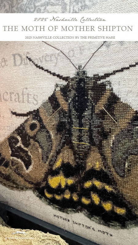 The Moth of the Mother Shipton by The Primitive Hare