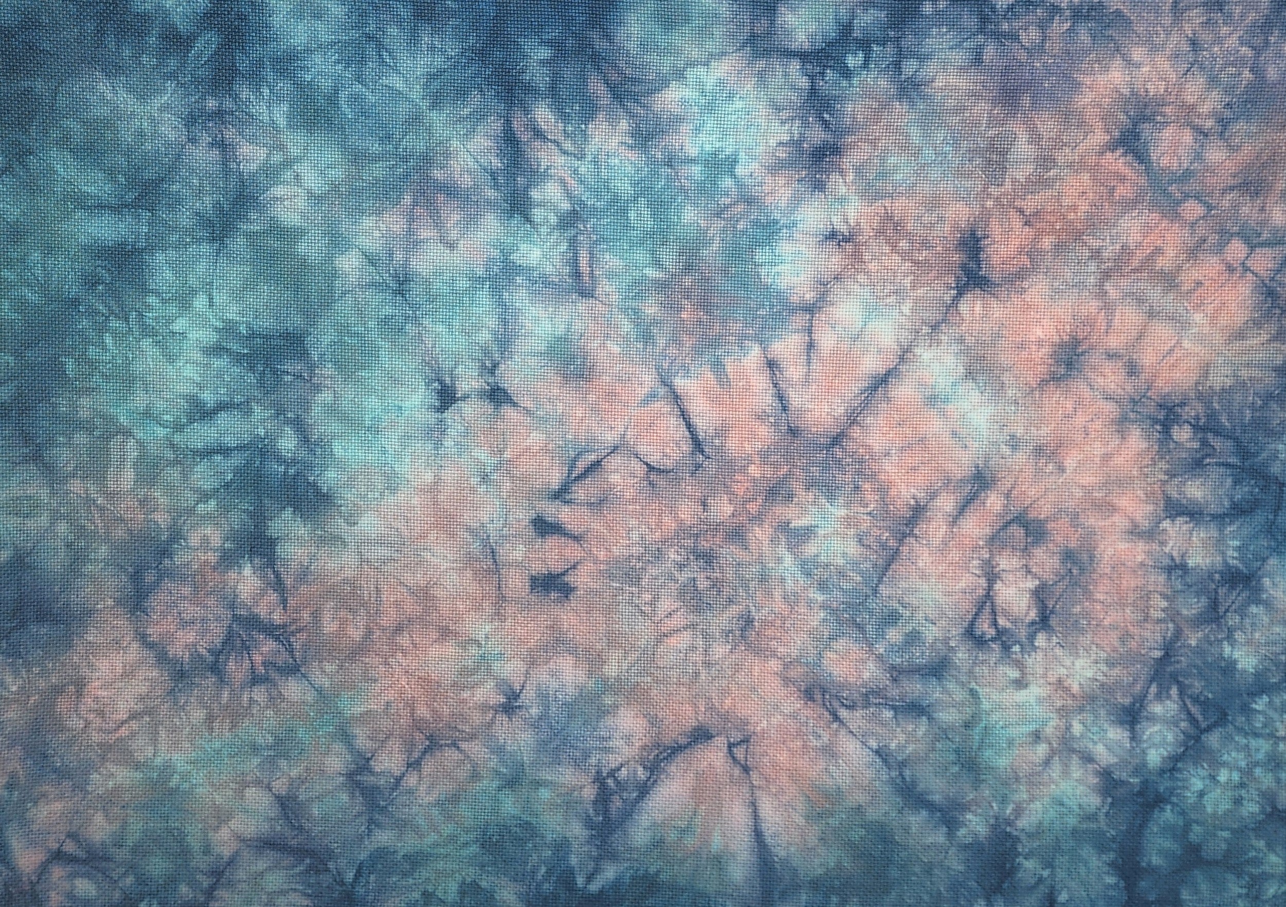 Mermaid Cove