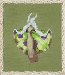 Miss Furry Moth by Nora Corbett