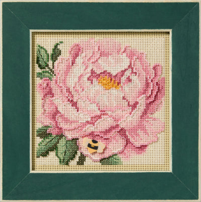 Peony by Mill Hill
