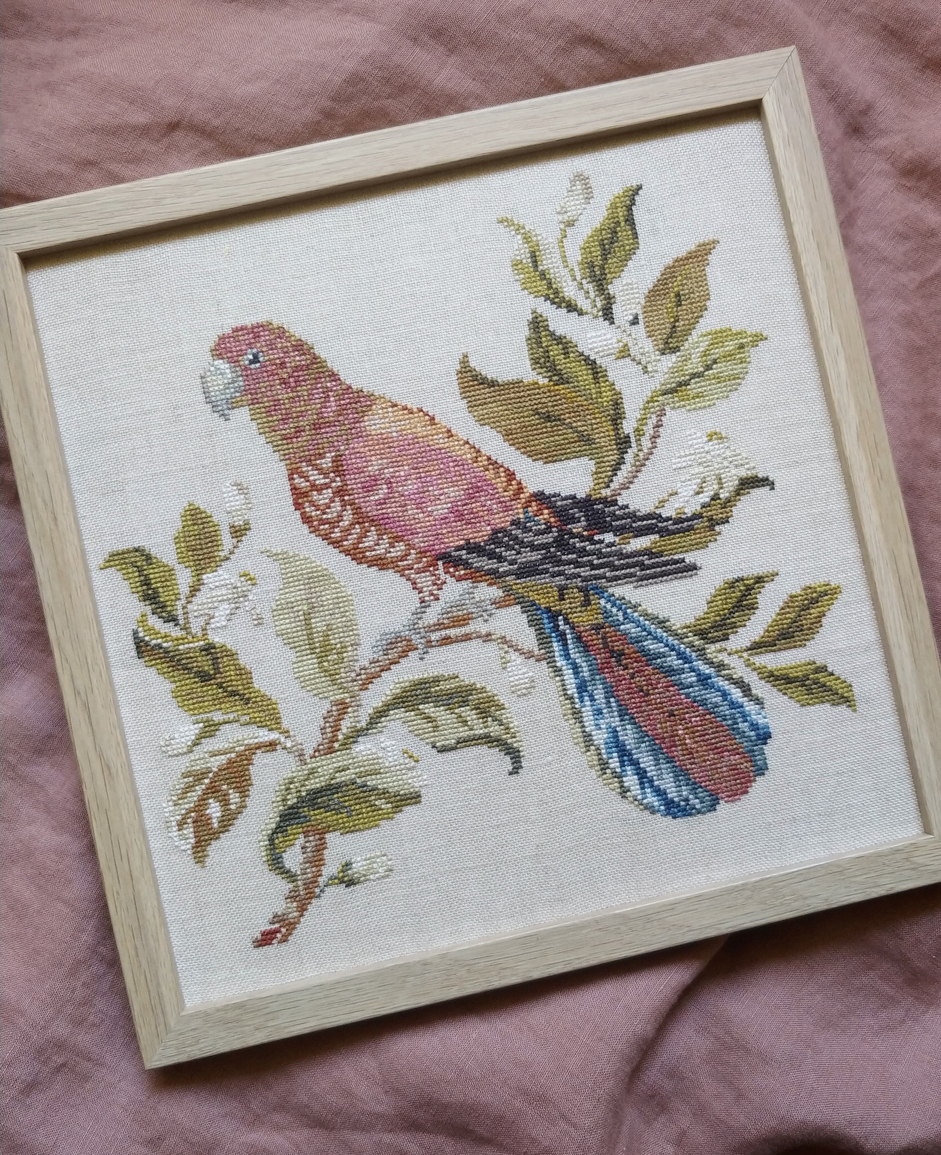 Rosella Rests by MoJo Stitches