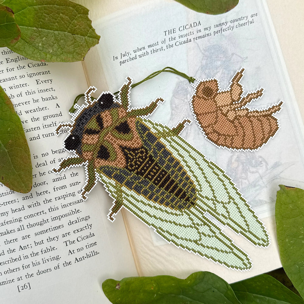 Cicada Season - Boomerang Stitches - Preorder - BeStitchMe