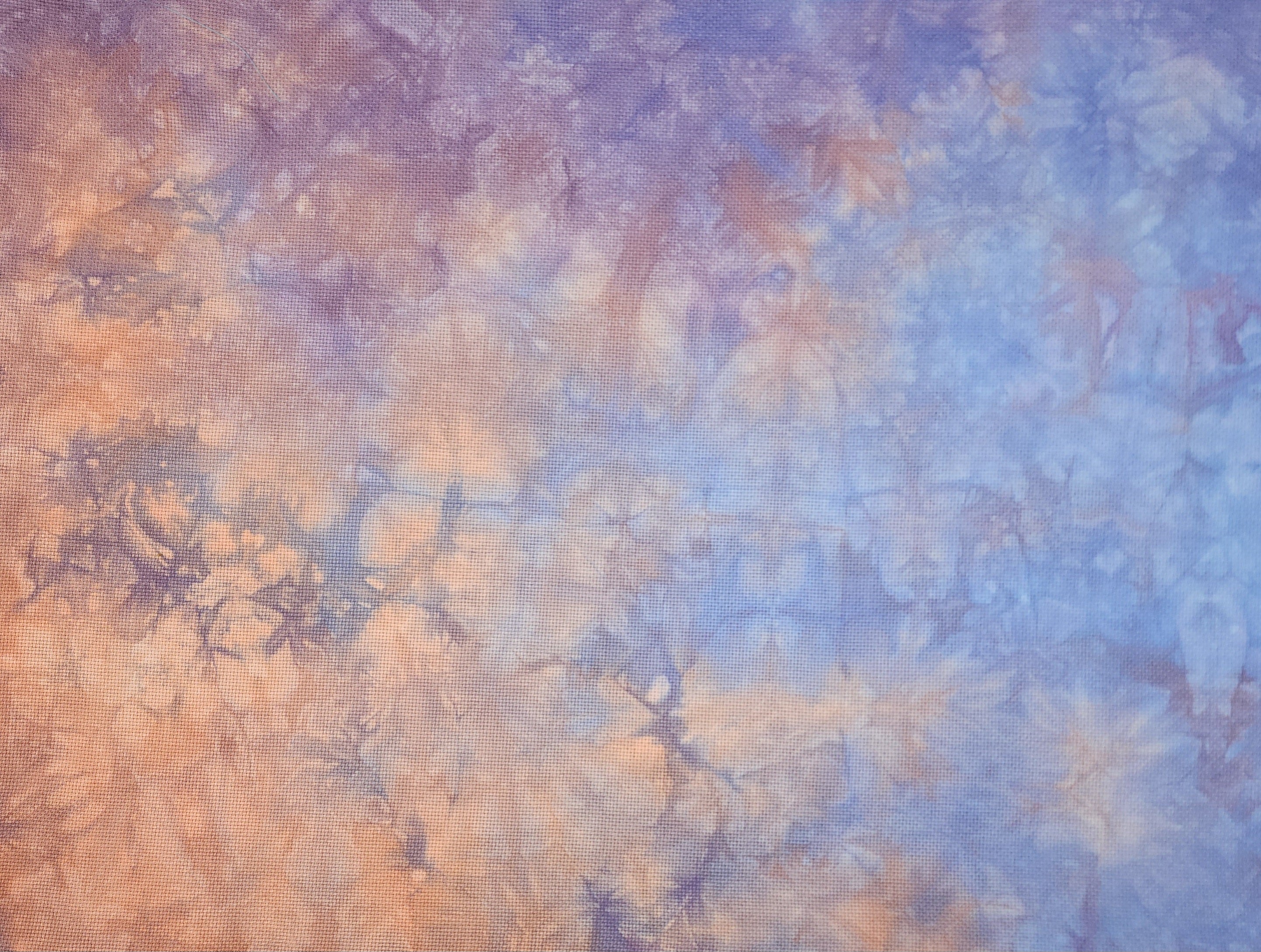 Ready to Ship Fabric- Summer's Last Light