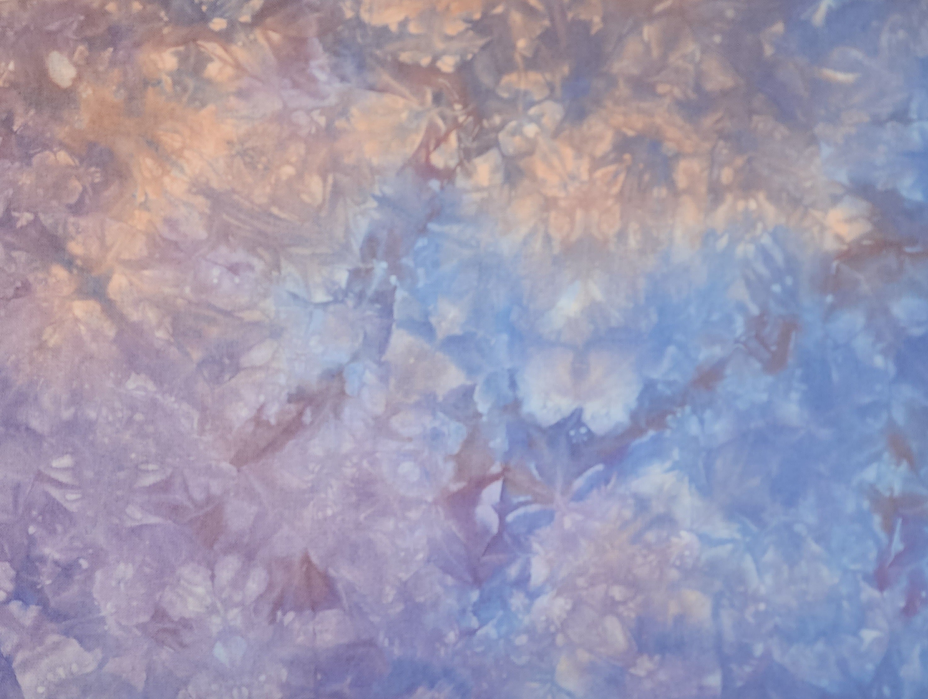 Ready to Ship Fabric- Summer's Last Light