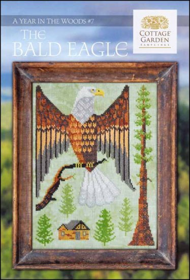 The Bald Eagle- A Year in the Woods #7 by Cottage Garden