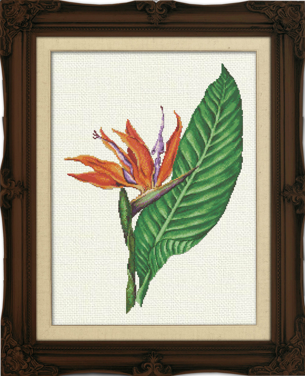 Bird of Paradise by Bella Filipina