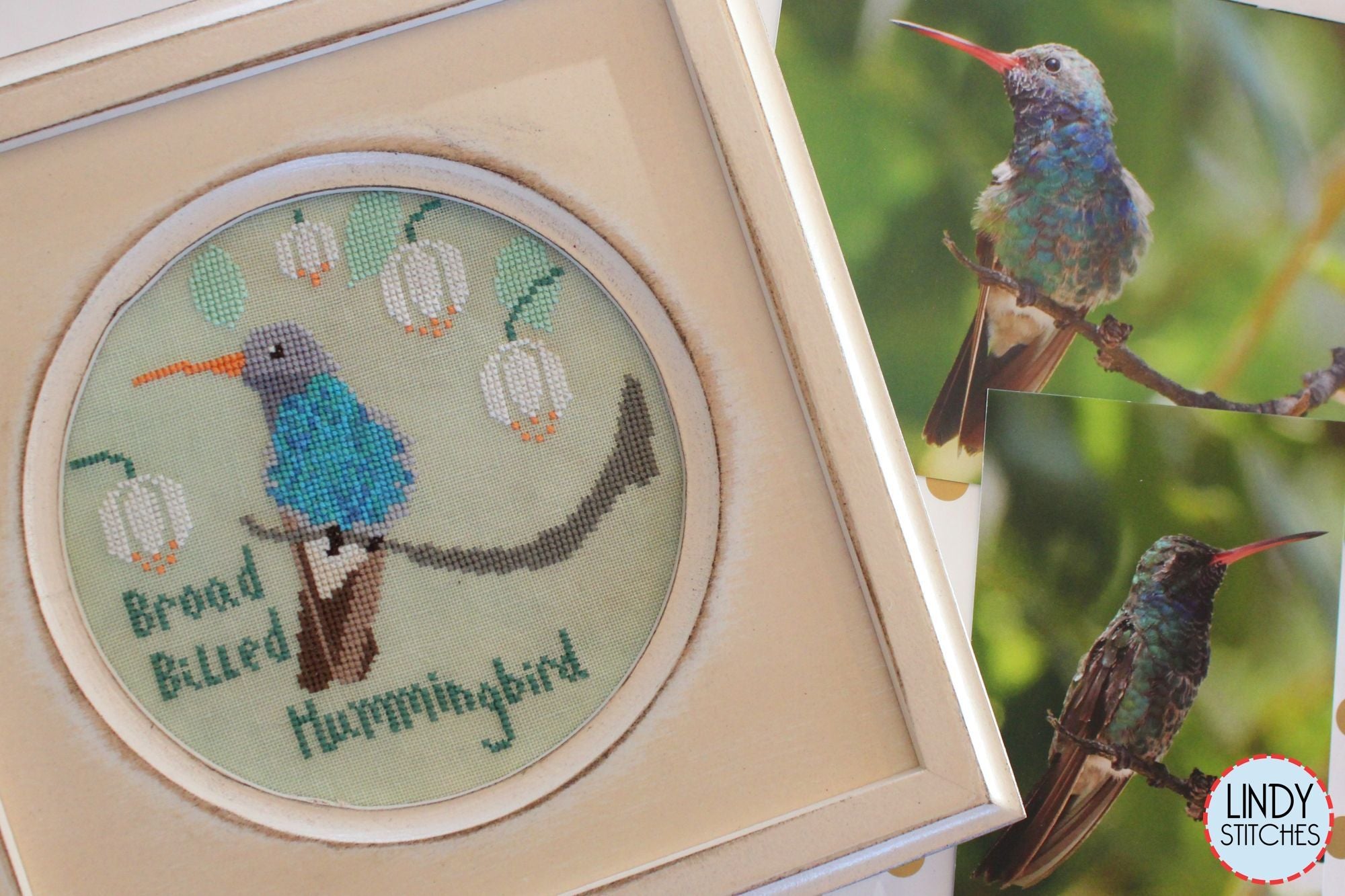 Broad Billed Hummingbird by Lindy Stitches