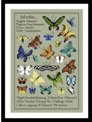 Kaleidoscope of Butterfly by Little Dove Designs