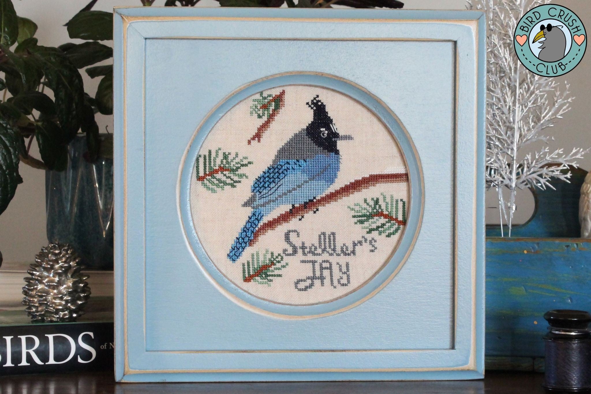 Steller's Jay: Bird Crush Club #1 by Lindy Stitches